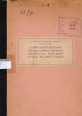 A brief investigation of the palu copper prospect in blocks 3-4, Southwest of Palu, Sulawesi Tengah: P.T. Rionto Bethlehem Indonesia report No.187