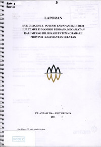 Laporan due diligence potensi endapan bijih besi IUP PT. Multi Mandiri Perdana kecamatan Kalumpang Hilir Kabupaten Kotabaru Provinsi Kalimantan Selatan