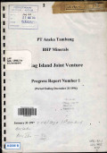 Gag island joint venture Progress report number I (period ending December 31 1996)