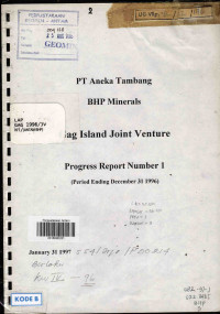 Gag island joint venture Progress report number I (period ending December 31 1996)
