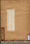 Data on Economic Evaluation: Supplemental data of feasibility report on Halmahera Project: December 1975