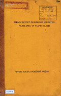 Survey report on iron ore deposites Riung Area of Flores island: April 5, 1960