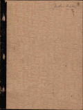 Geological assesment of the Taysan Copper Property (Batangas Province, Philippines)