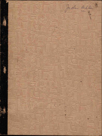 Geological assesment of the Taysan Copper Property (Batangas Province, Philippines)
