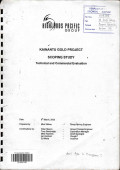 Kainantu gold project scoping study: technical and commercial evaluation