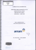Laporan Evaluasi Sementara EKsplorasi Nikel Daerah Pulau Gag Kabupaten Raja Ampat Provinsi Papua Barat Semester 1 Tahun 2019 PKS no. 180/0505/PUG/2017 & PKS no. 007/perjanjian/PTGN/IV/2017